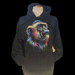 RAINBOW GIBBON HOODIE BLACK